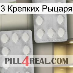 3 Крепких Рыцаря 17